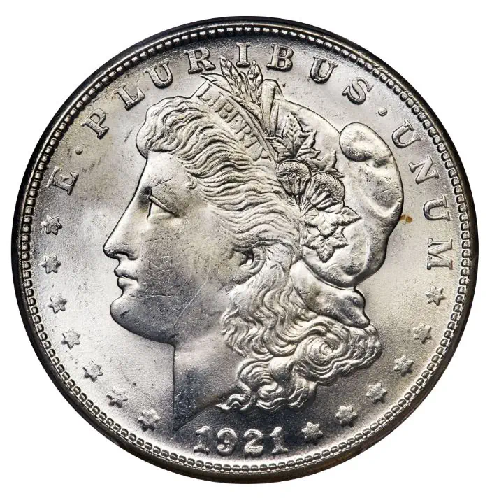 Morgan Silver Dollars