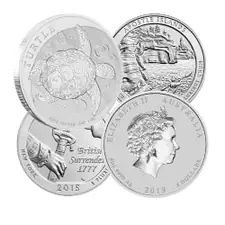 Random 5 oz Silver Coins